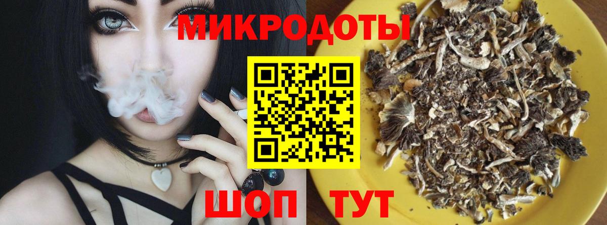 Псилоцибиновые грибы мухоморы Майкоп